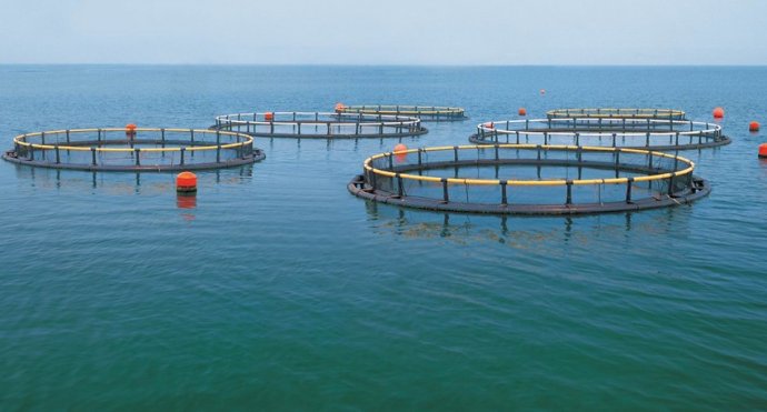 秘鲁寻求通过政府计划开发水产养殖潜力