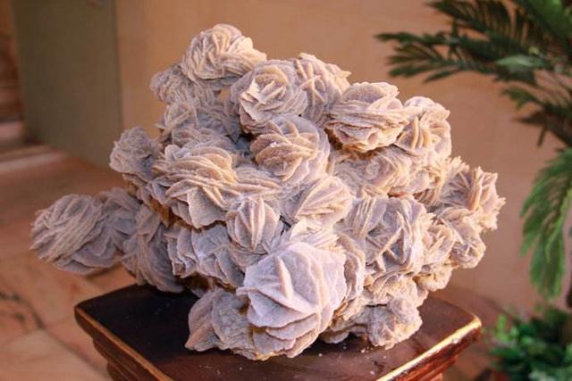 大漠出奇石,玫瑰永不落——沙漠戈壁地带的"沙漠玫瑰石"