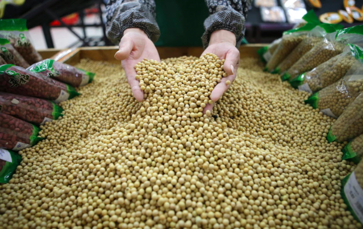 巴西对华大豆出口量增长近50%